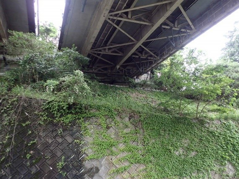 ④馬伏川橋の橋梁全景