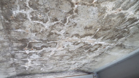 中村川橋の損傷状況