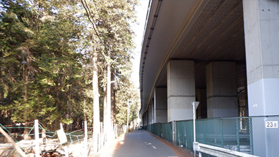 ＜小田急高架橋の橋梁全景＞